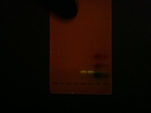 OpenPCR PCR machine results